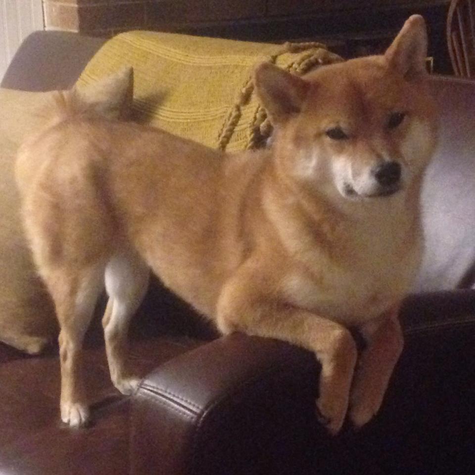 关于胜利：团队合作带来的巨大成功，团队合作取得成功的名言