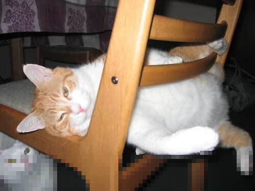 全球媒体聚焦:大型台球赛事点燃国际热情,台球国际比赛项目